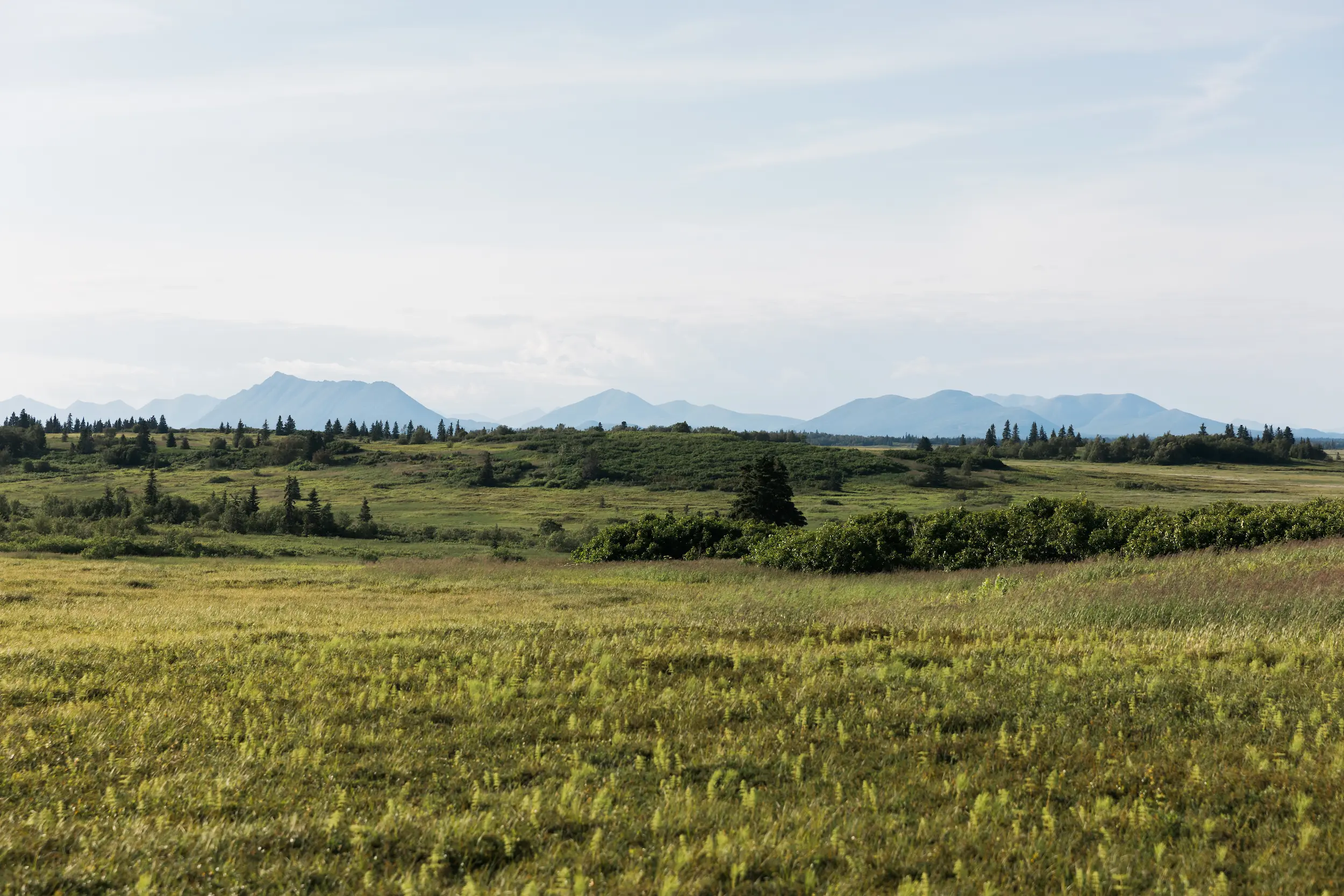 Expansive rural landscape with lush green fields under a hazy sky, with distant mountain silhouettes on the horizon