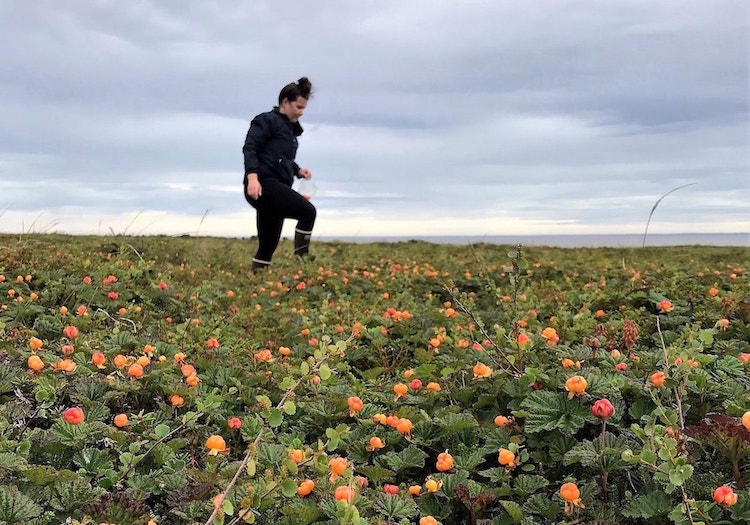 A person in a black jacket is captured mid-stride against a vibrant field of orange salmon berries under an overcast sky, highlighting the vastness and natural beauty of the Alaska landscape.
