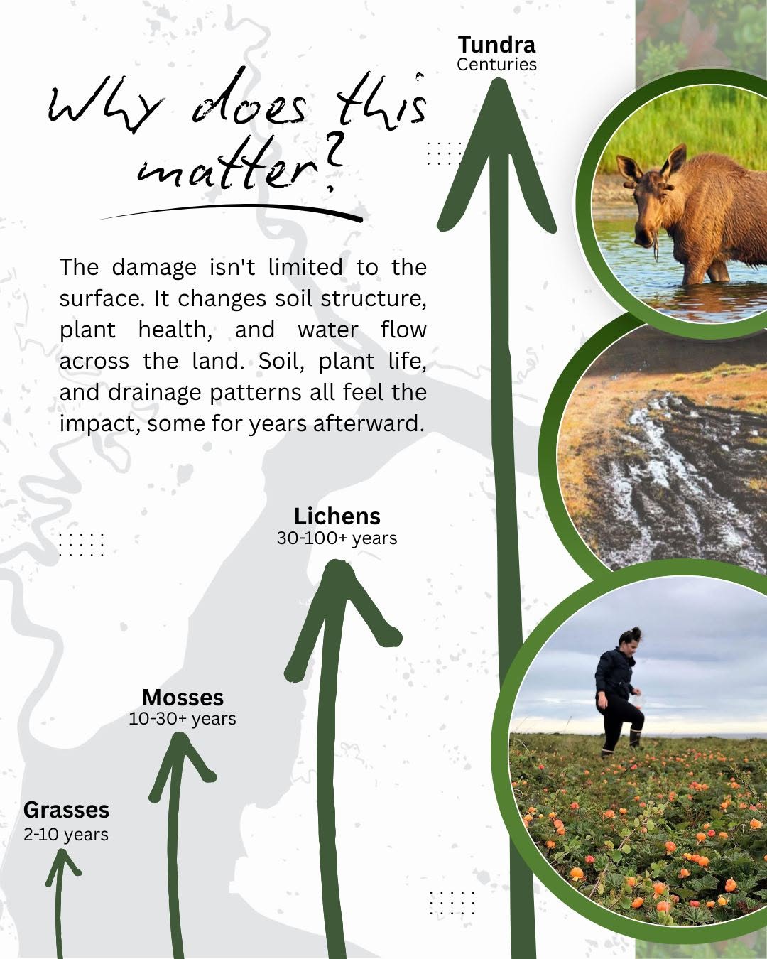 Erosion control post #2